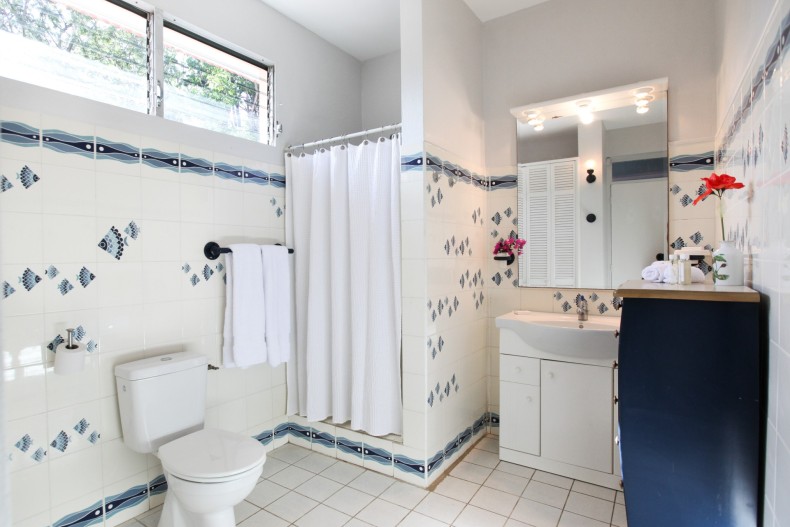 La Villa du Rhumier 17410_salle de bain3.jpg